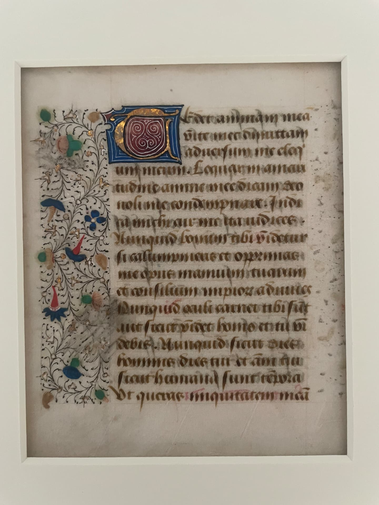 Illuminated Book of Hours Leaf — Office of the Dead, Northern France, ca. 1450–1480